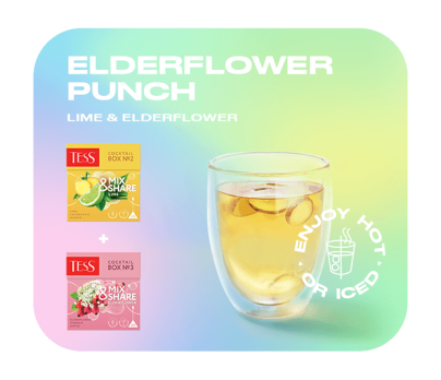 Herbal infusion with ginger, lemongrass and lime flavouring TESS Cocktail Box №2 piramids 20pcs. photo